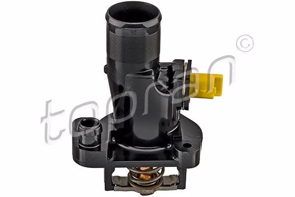 Czy warto kupić Citroen C5 2.0 HDi?