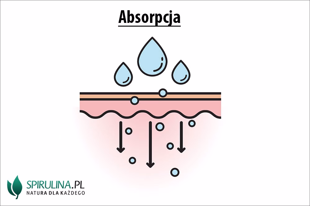 Na czym polega metoda adsorpcji powietrza?
