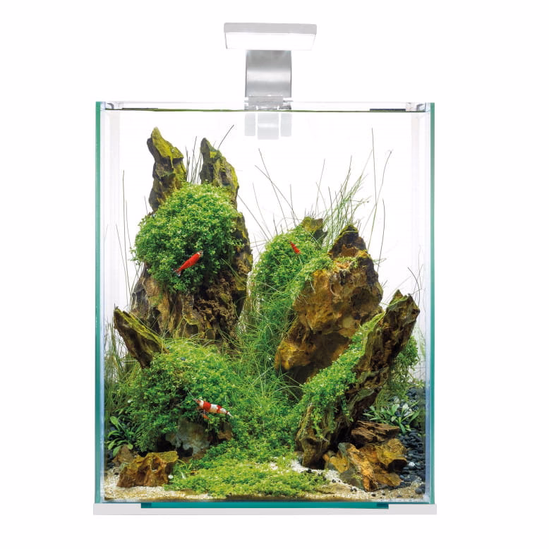 Co ile wymieniać wodę w akwarium 10l?