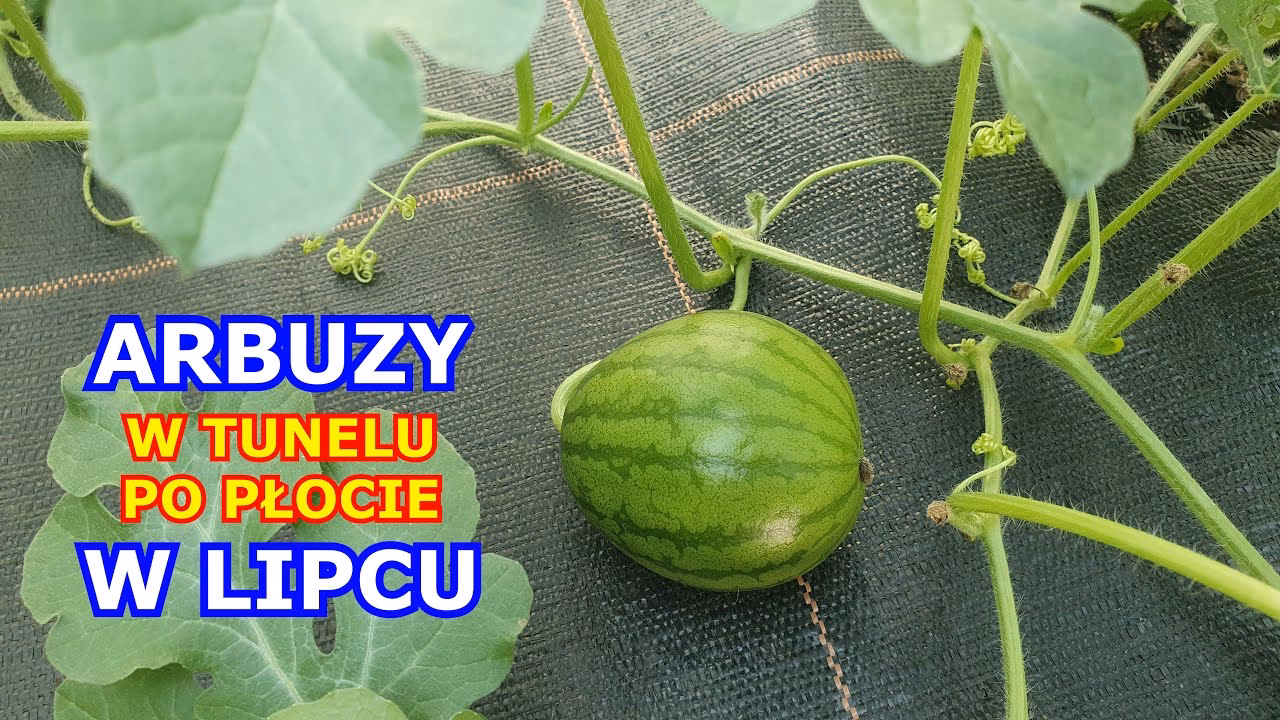 Skąd powietrze w samolocie?
