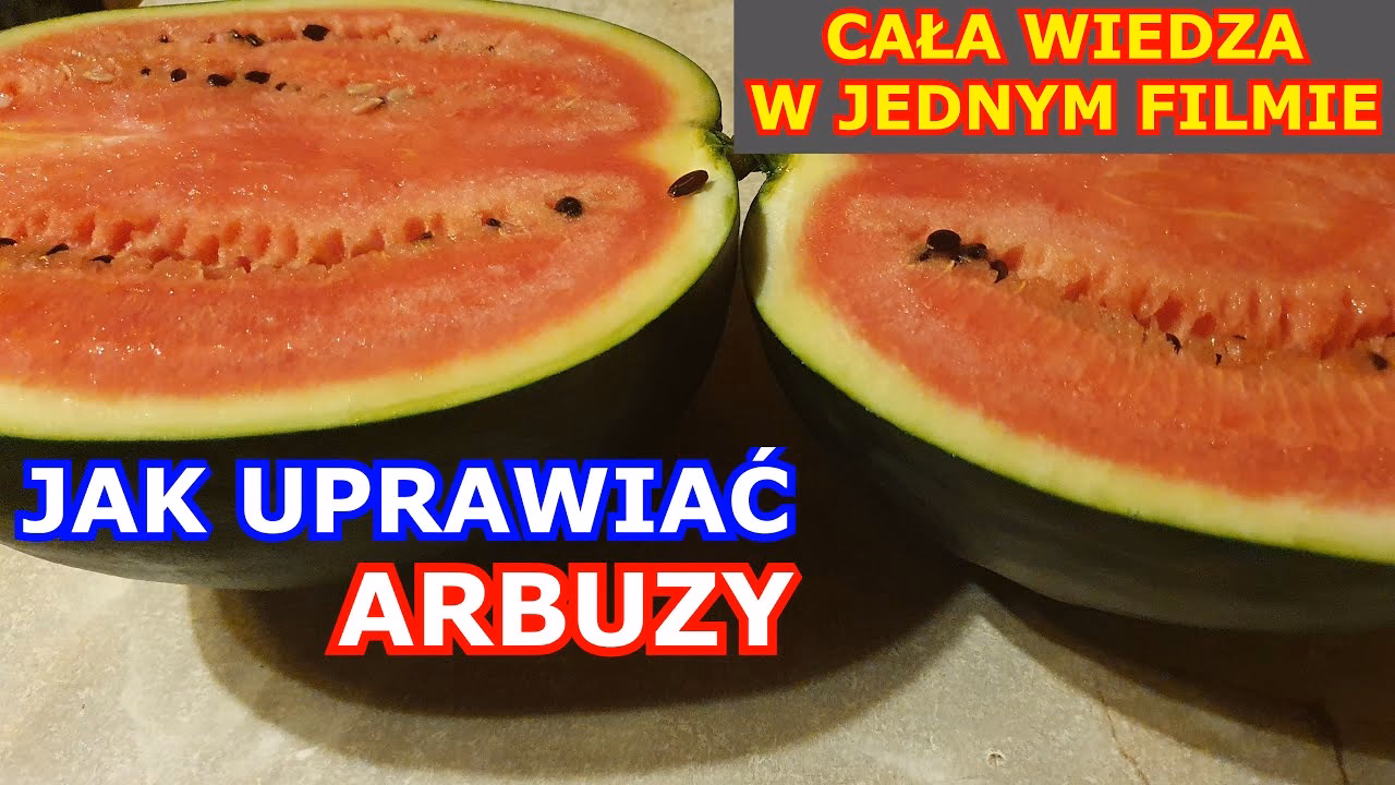 Czy powietrze w samolocie jest suche?
