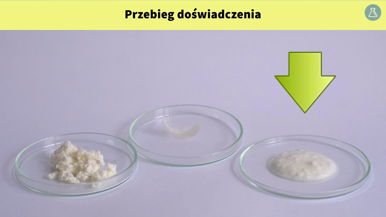 Jak kwas azotowy działa na białka?