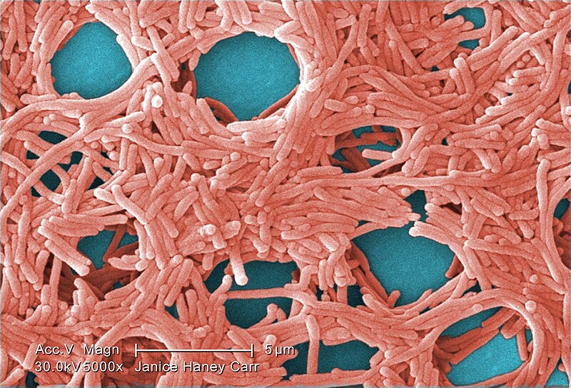 Co się stanie, jeśli nie wyczyścisz klimatyzatora?