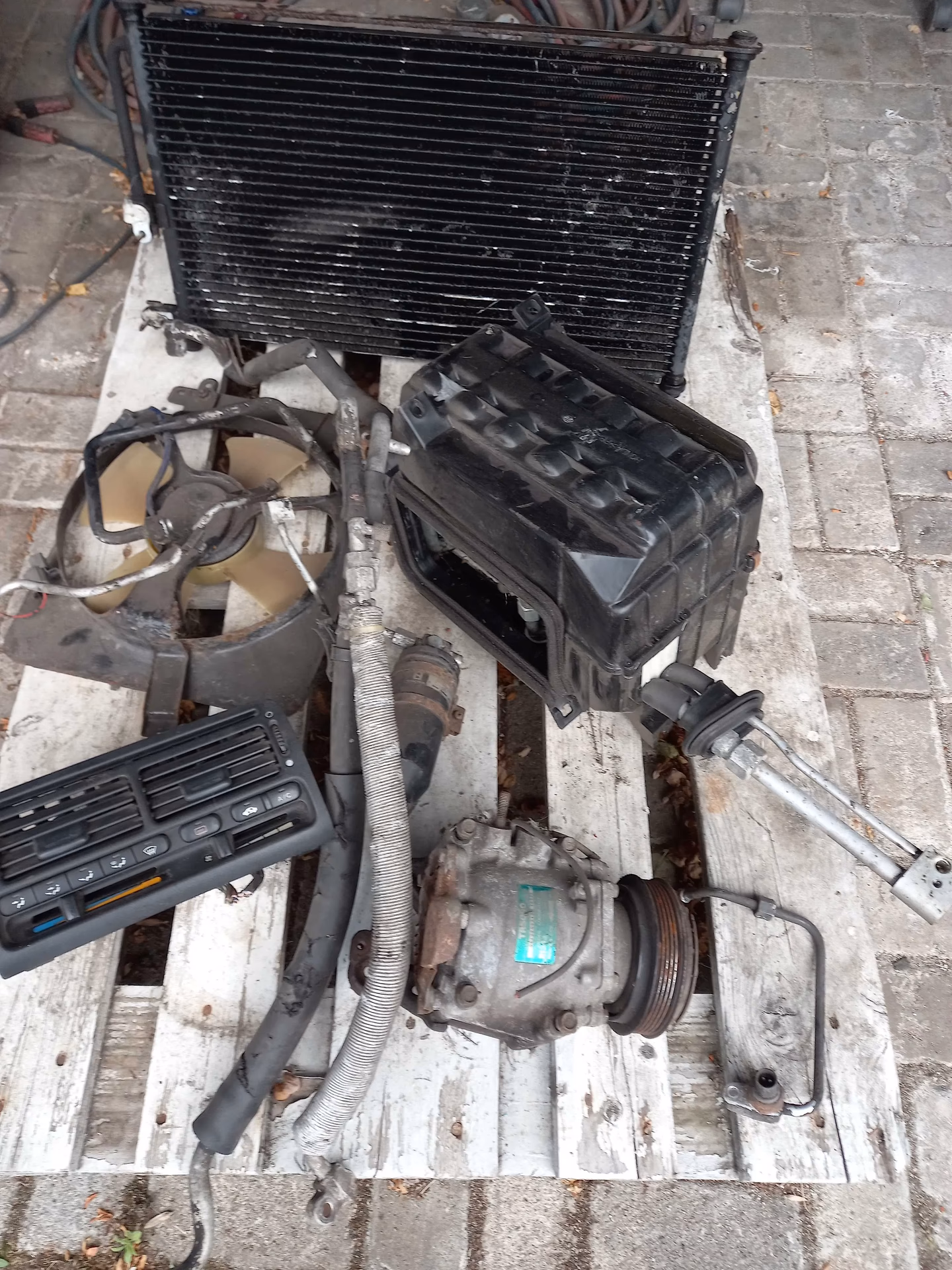 Czy Honda Prelude jest rzadka?