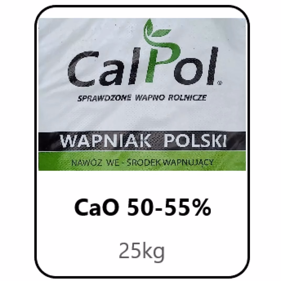 Jak przebiega rozkład szczawianu wapnia?