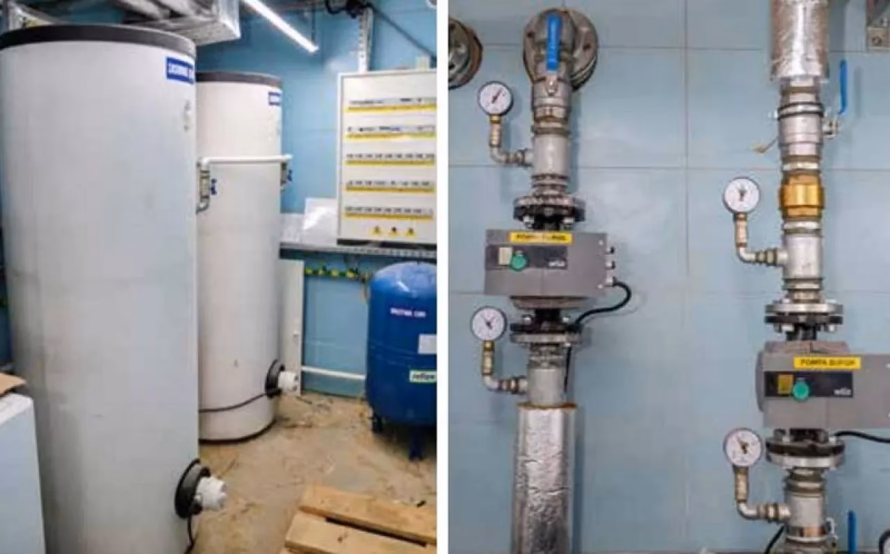 Ile m2 na 1 świnie?