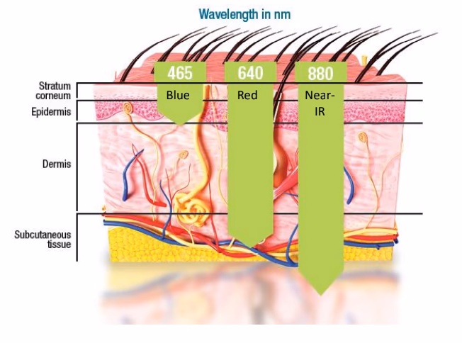 Czy światło LED działa na skórę?