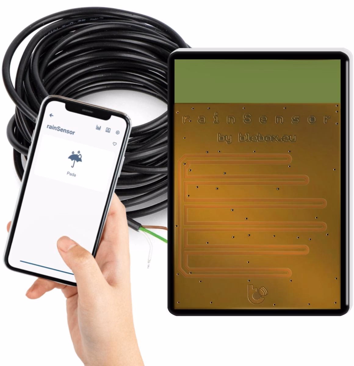 Ile suszyć drewno po deszczu?