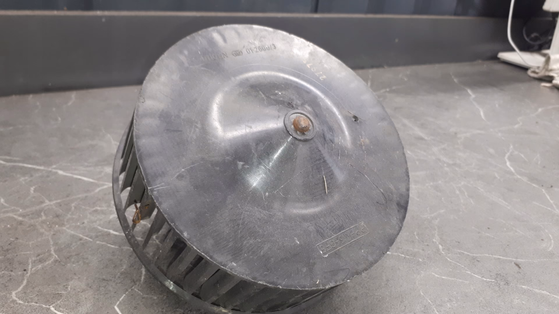 Czy Ford Puma ma podgrzewaną kierownicę?