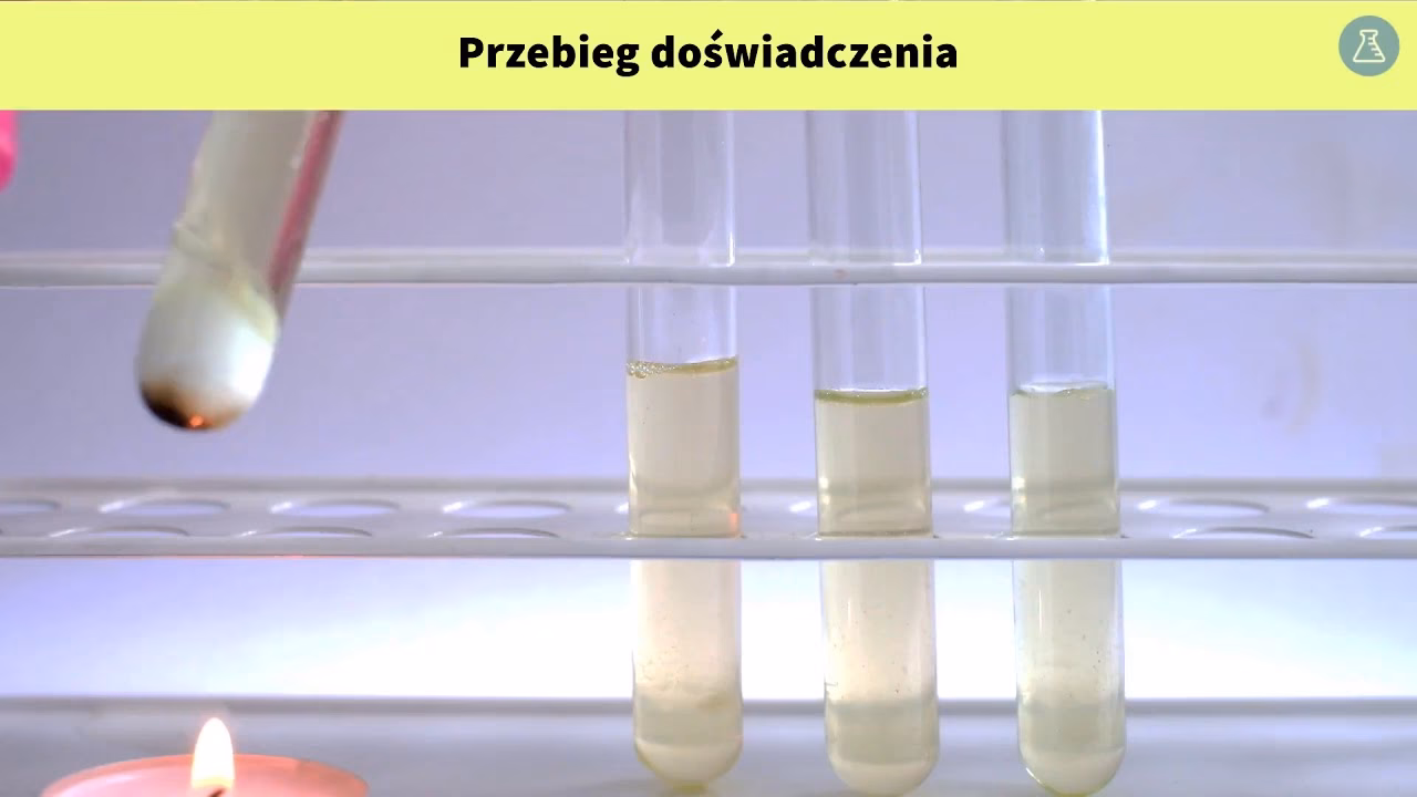 W jaki sposób można wykryć białka?