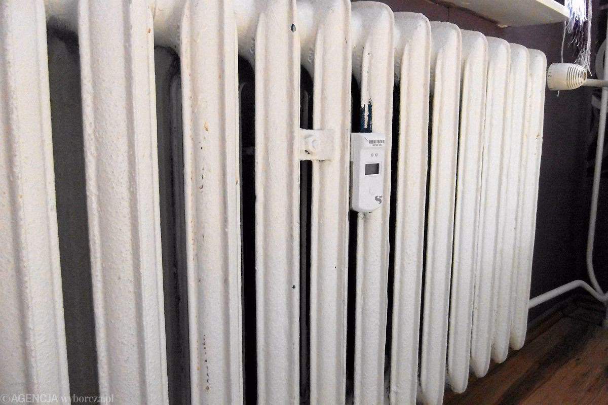 Jakie są dzielnice Radomia?