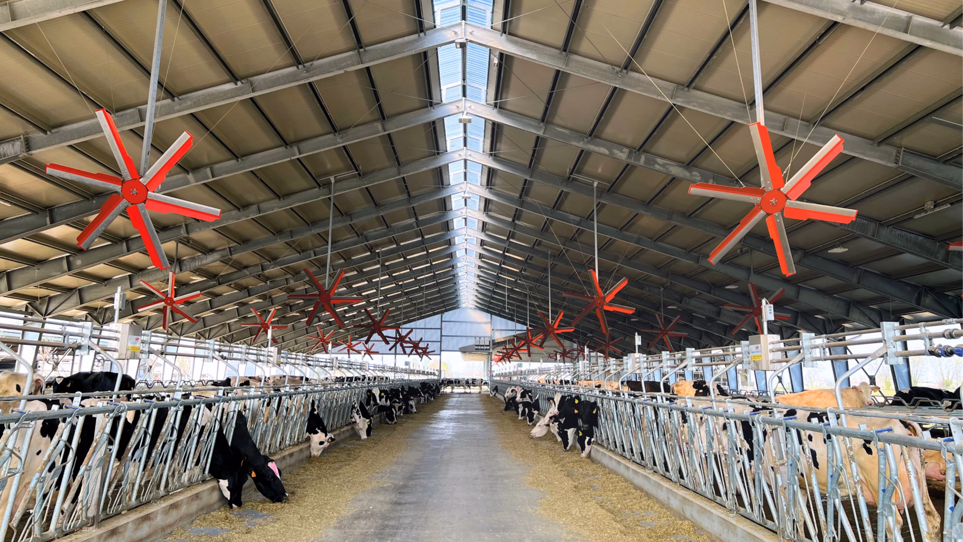 Co się stało z Grzegorzem Markowskim?