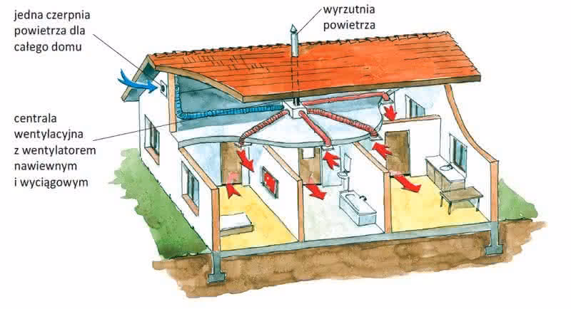 Czy wentylacja pomoże na grzyba?
