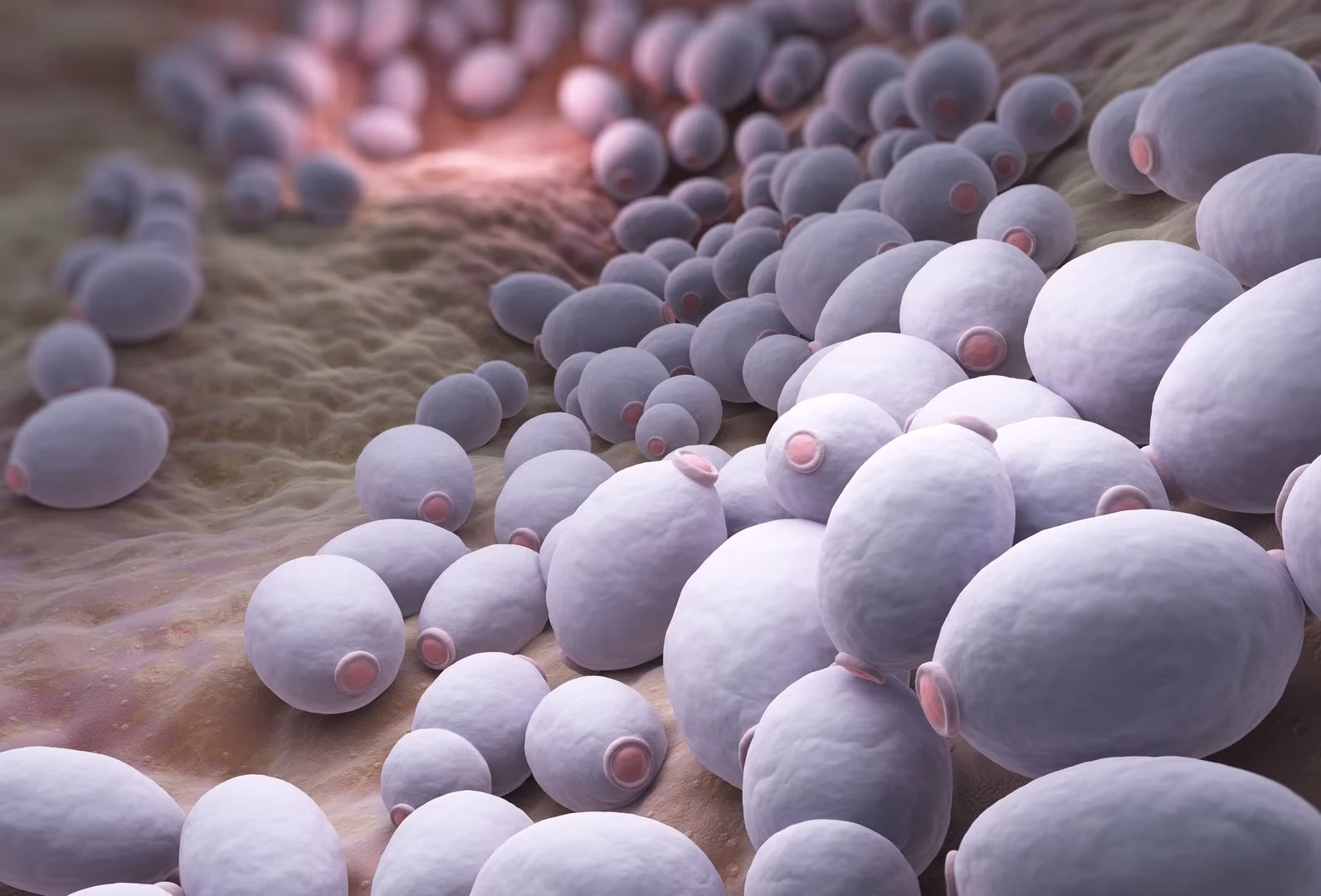 Co pomaga na grzybicze zapalenie gardła?