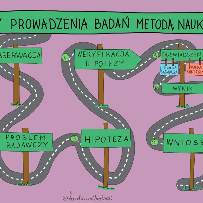 Jaka jest hipoteza układu oddechowego?