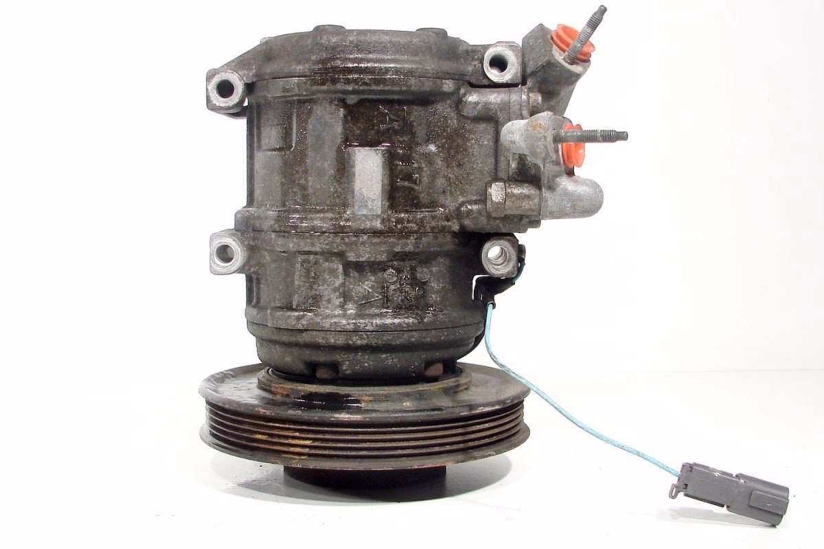 Czy Honda Accord gnije?