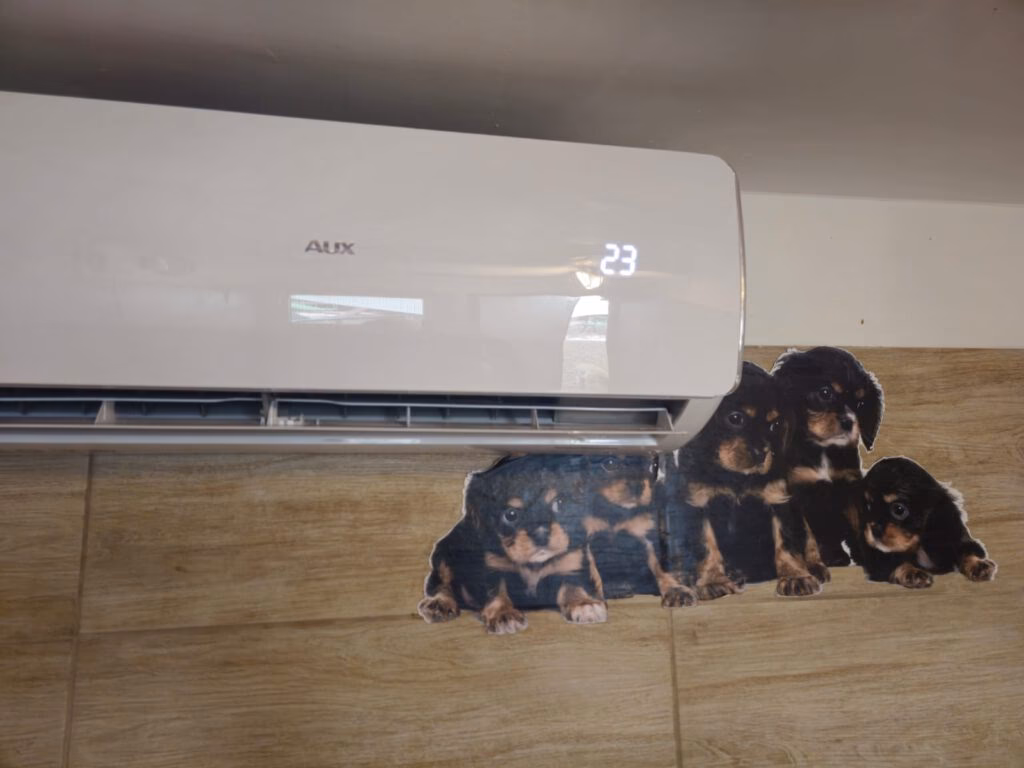 Jak psy znoszą pobyt w hotelu?