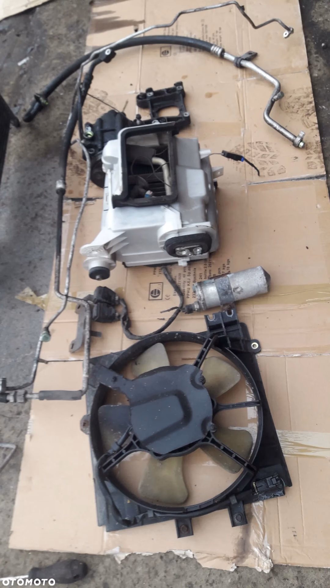 Jaka jest przewidywana żywotność Mazdy 323?