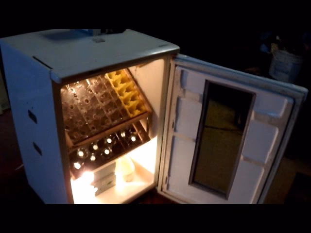 Jak zwiększyć wilgotność w inkubatorze?