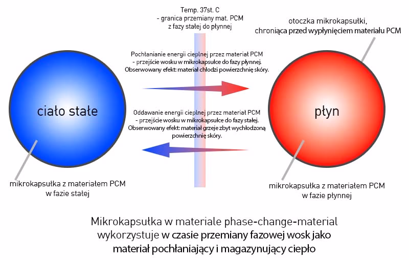 Jak organizm człowieka ogrzewa się?