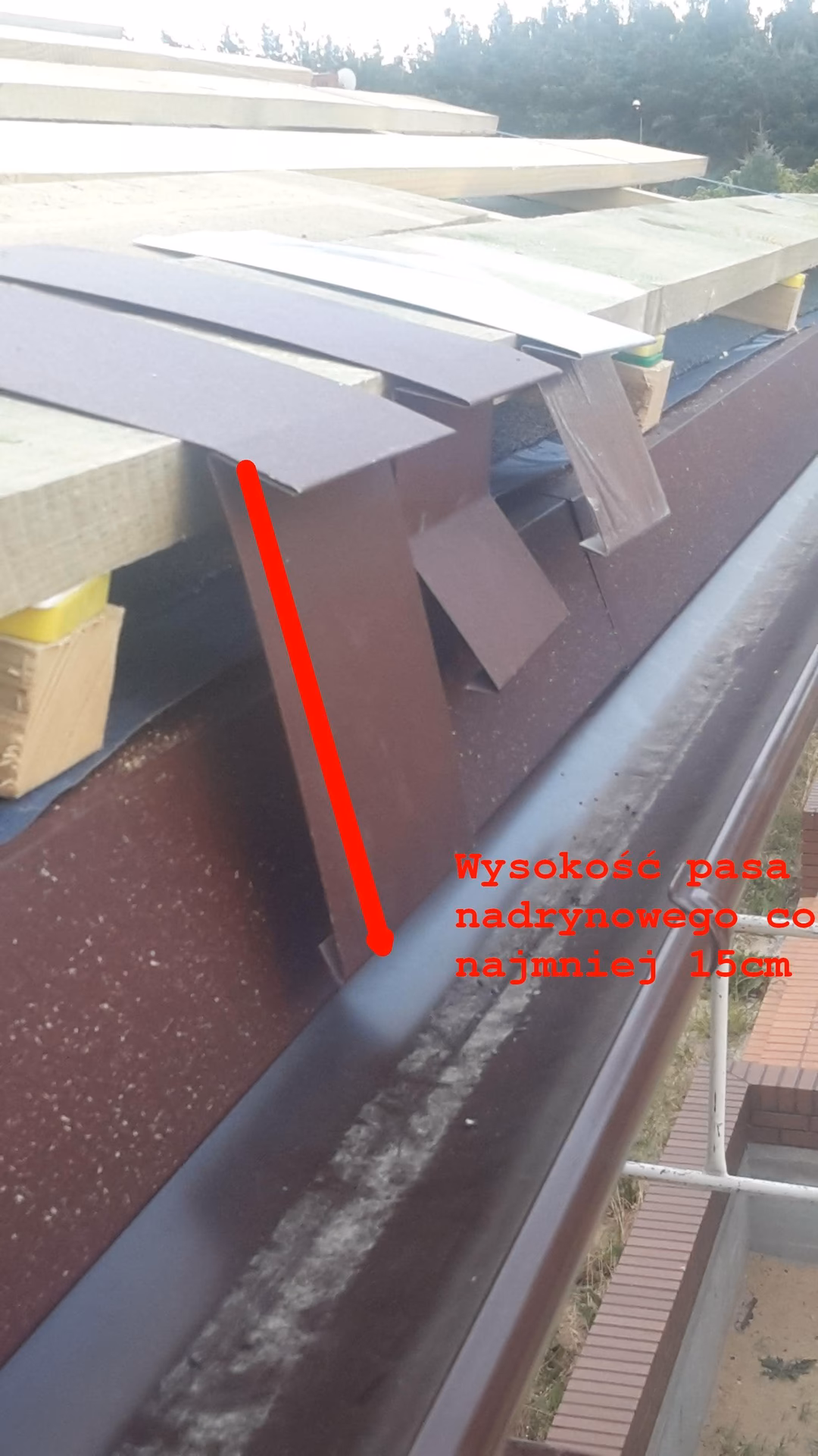 Czy membrana ma wchodzić do rynny?