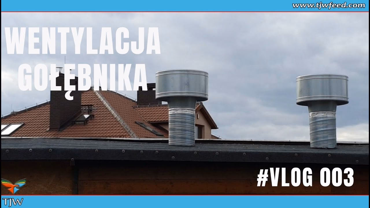Jaki jest plan wentylacji gołębnika?
