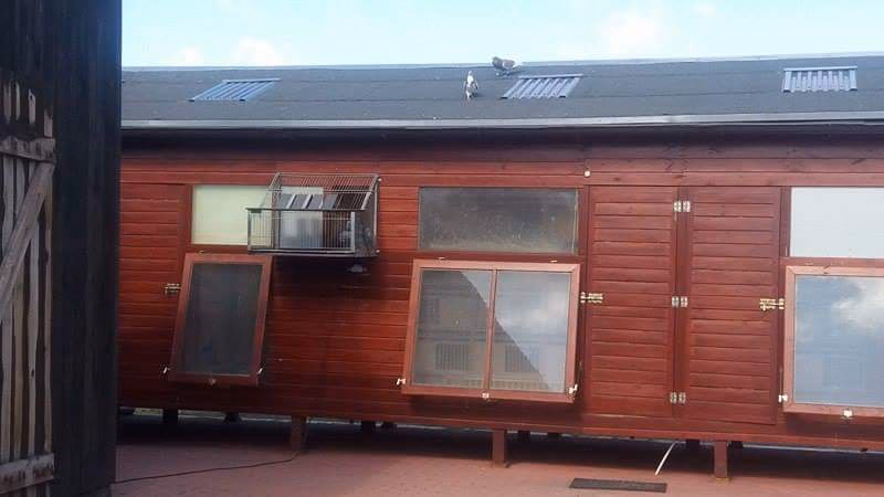 Jak pozbyć się wilgoci w gołębniku?