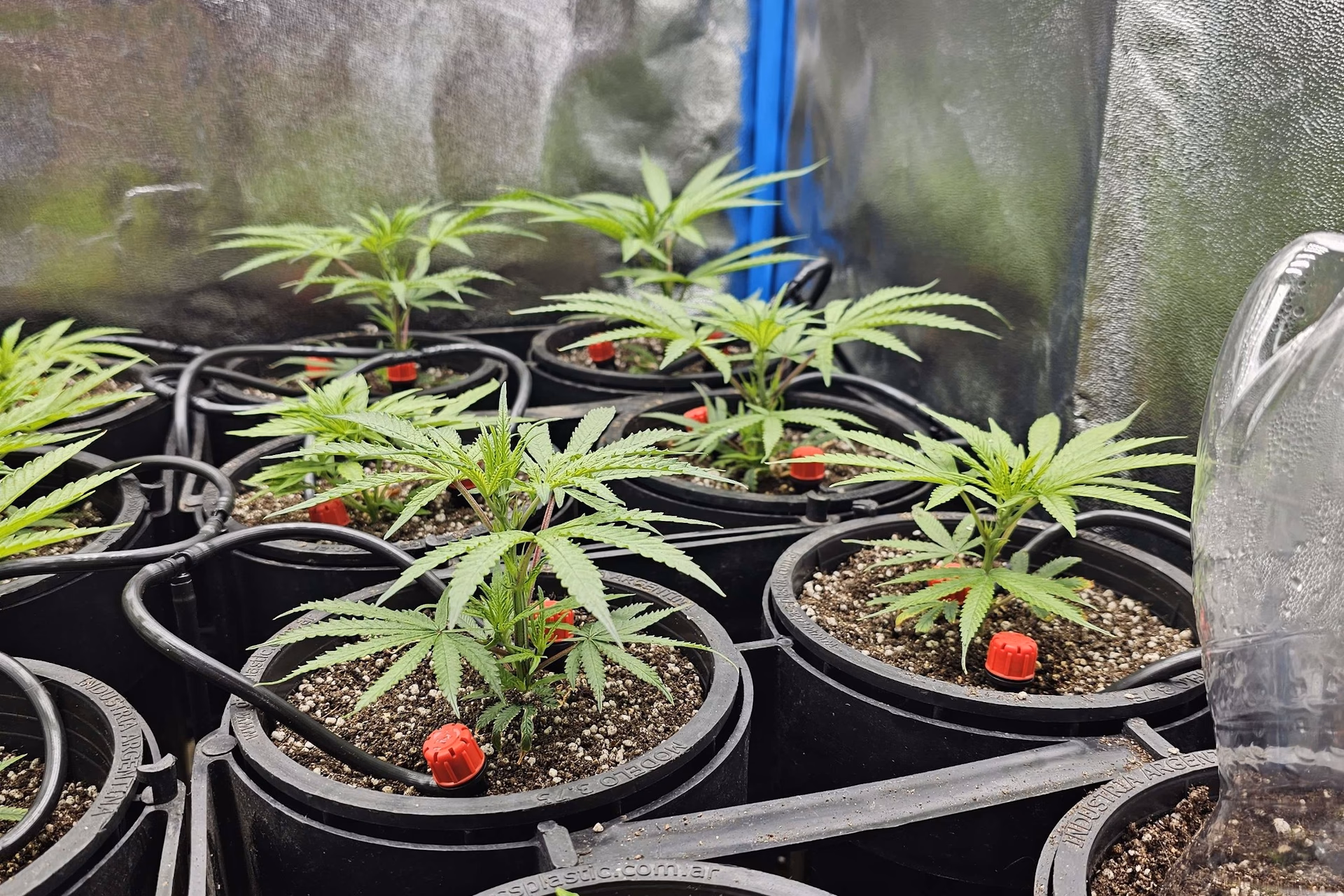 Ile stopni powinno być w growboxie?