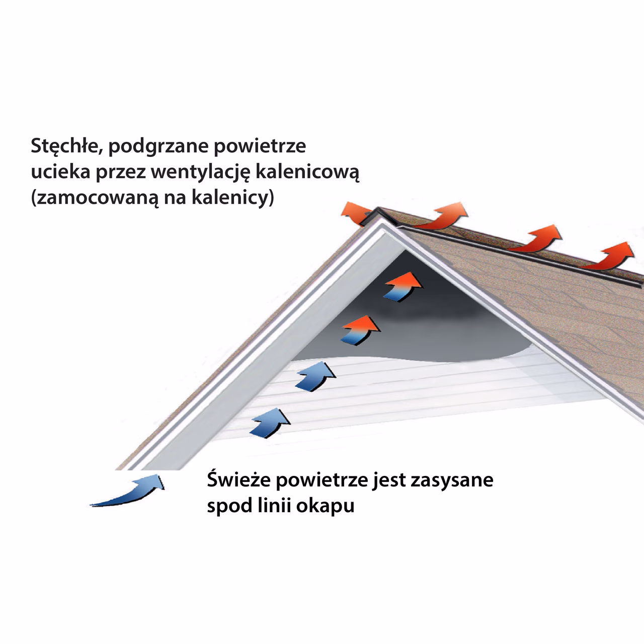Jaki jest cel wentylacji w drenażu?