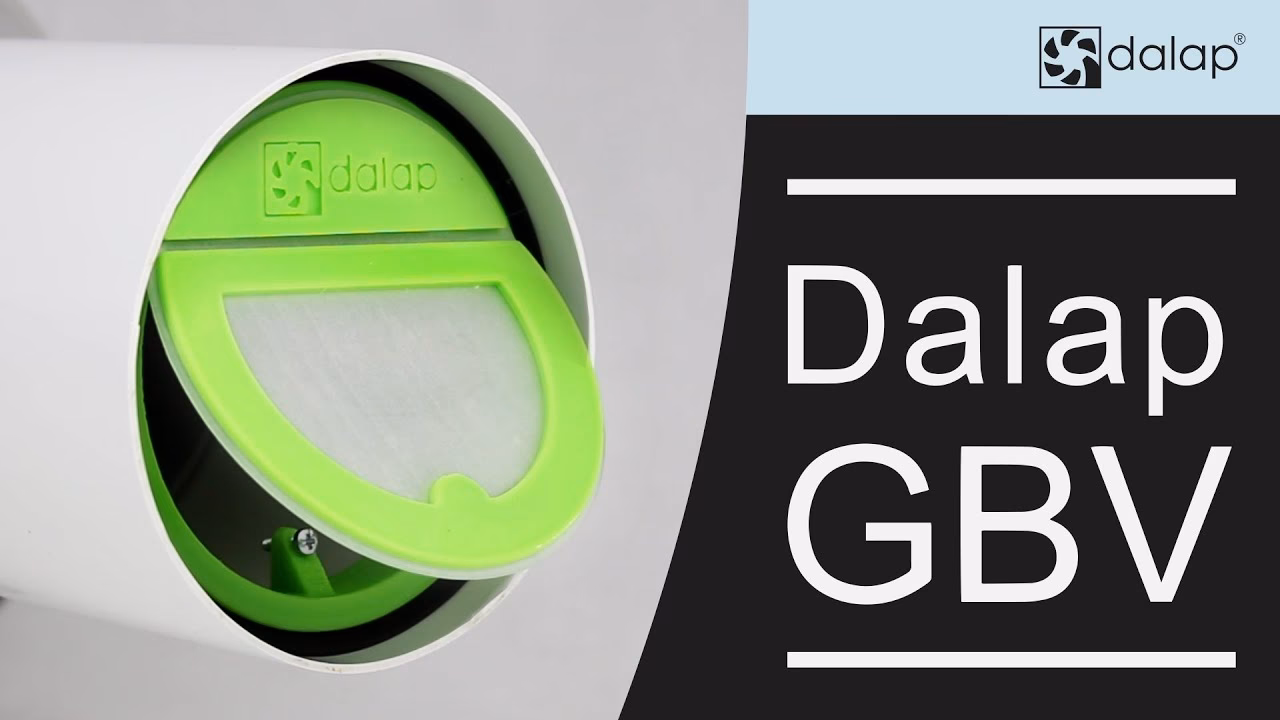 Czy Ford Focus powróci?