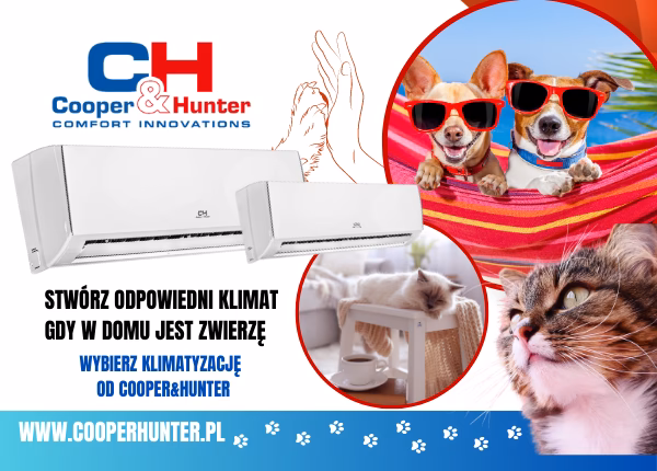 Czy klimatyzacja jest zdrowa dla psa?