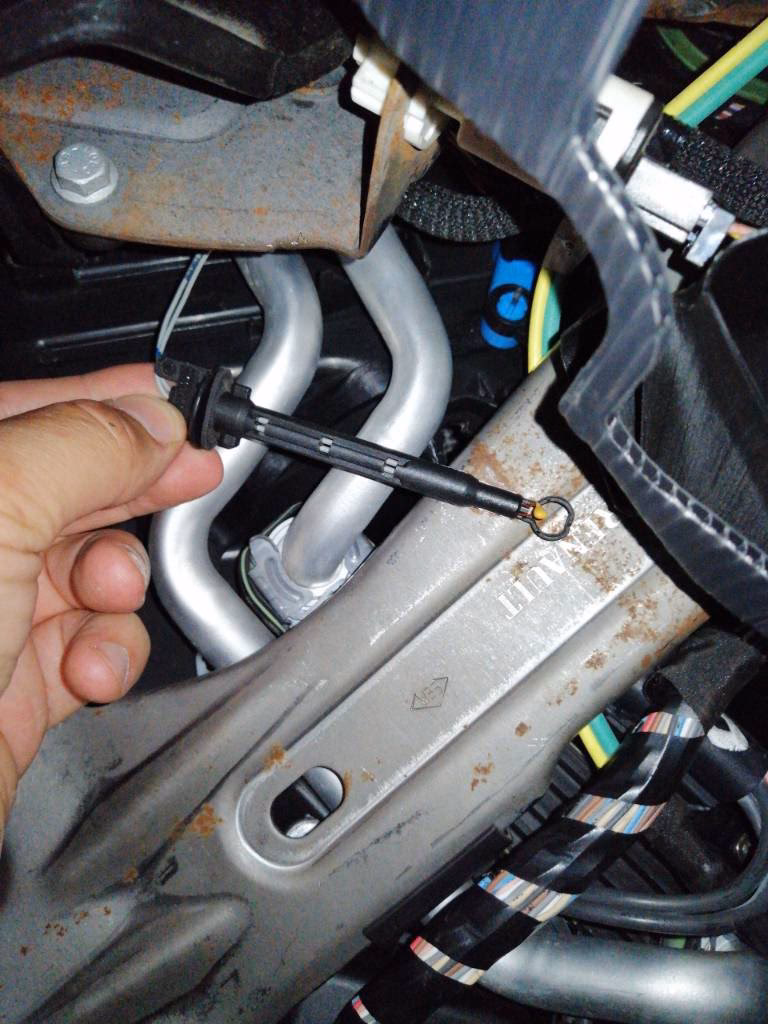 Czy Renault Scenic III rdzewieje?