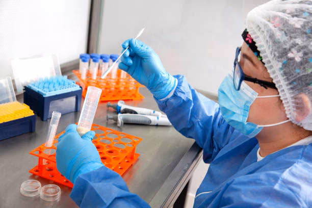 Jakie są poziomy BSL w laboratoriach?