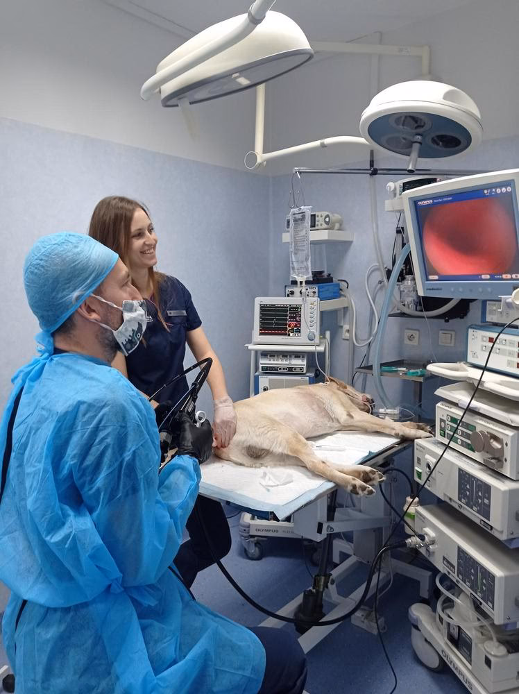 Jakie są wady laparoskopii?