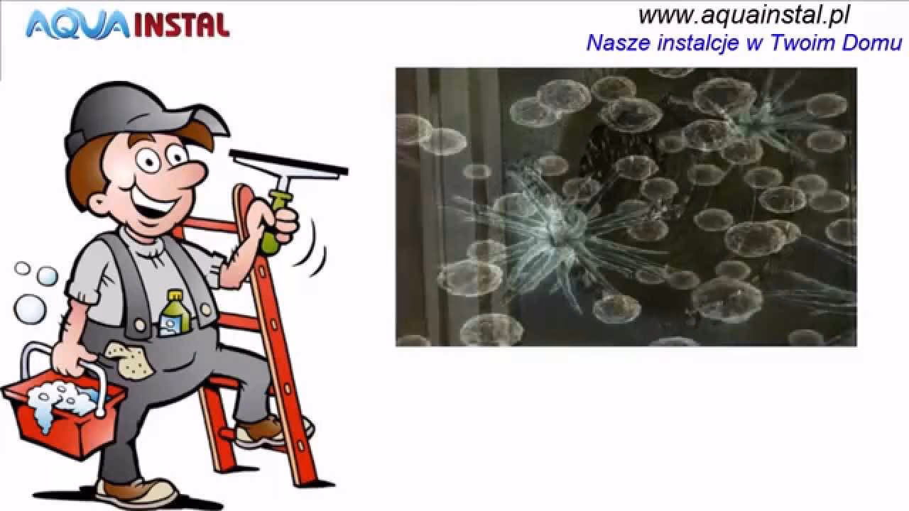 Czy biorąc prysznic można zarazić się Legionella?