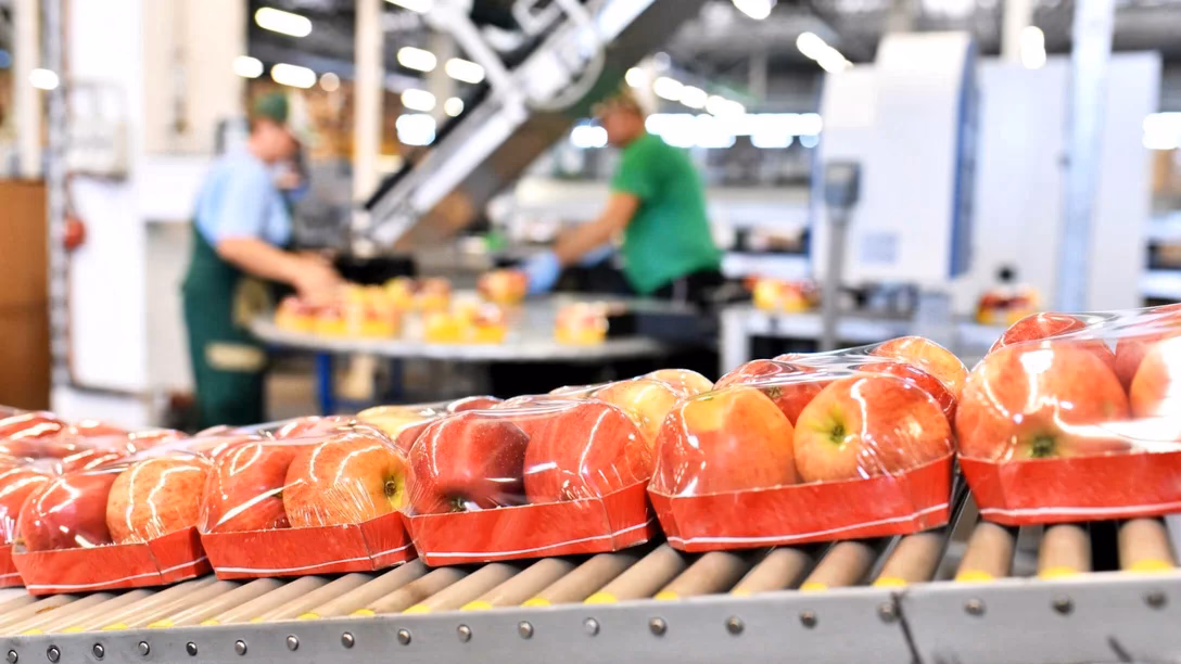 Jakie są wymagania sanitarne dla magazynu żywności?