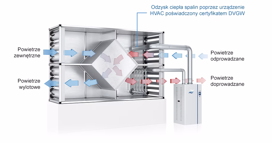Jakie są wady nawilżaczy parowych?
