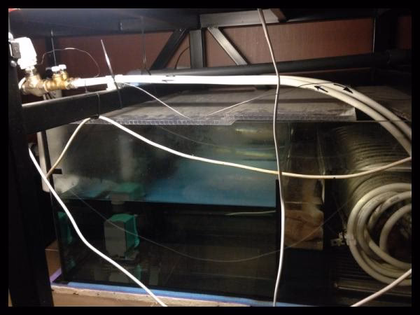 Co zrobić, żeby woda w akwarium była ciepła?