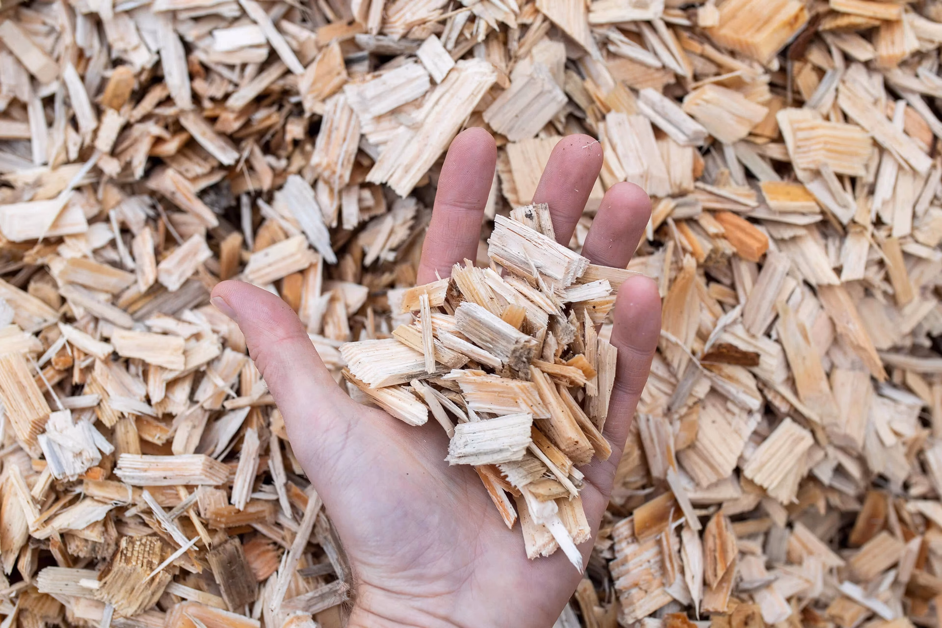 Czym palić w piecu na biomasę?