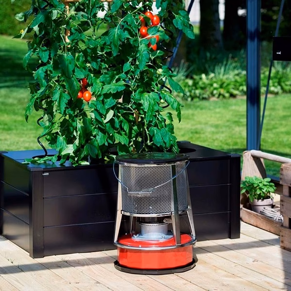 Jaka jest temperatura w nieogrzewanej szklarni zimą?