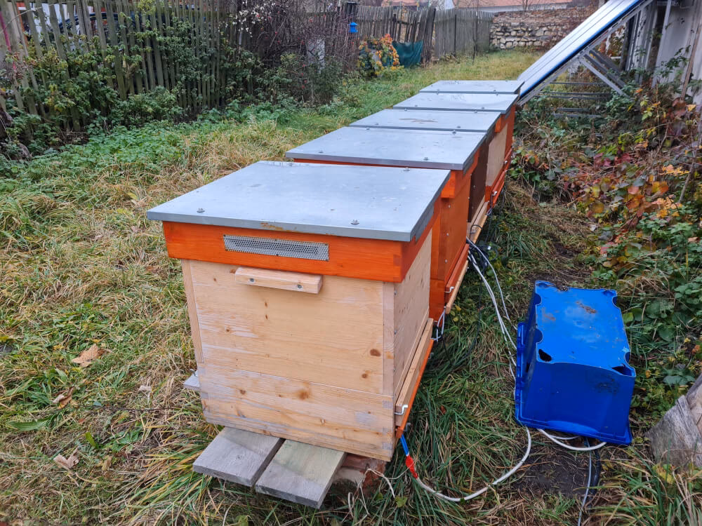 Przy jakiej temperaturze można zajrzeć do ula?