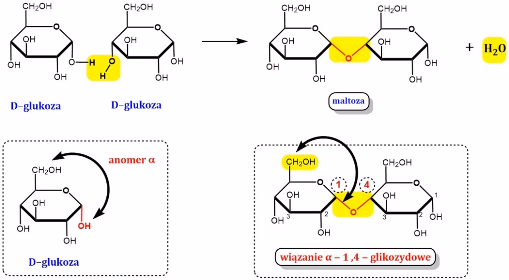 Czy nadmiar glukozy szkodzi?