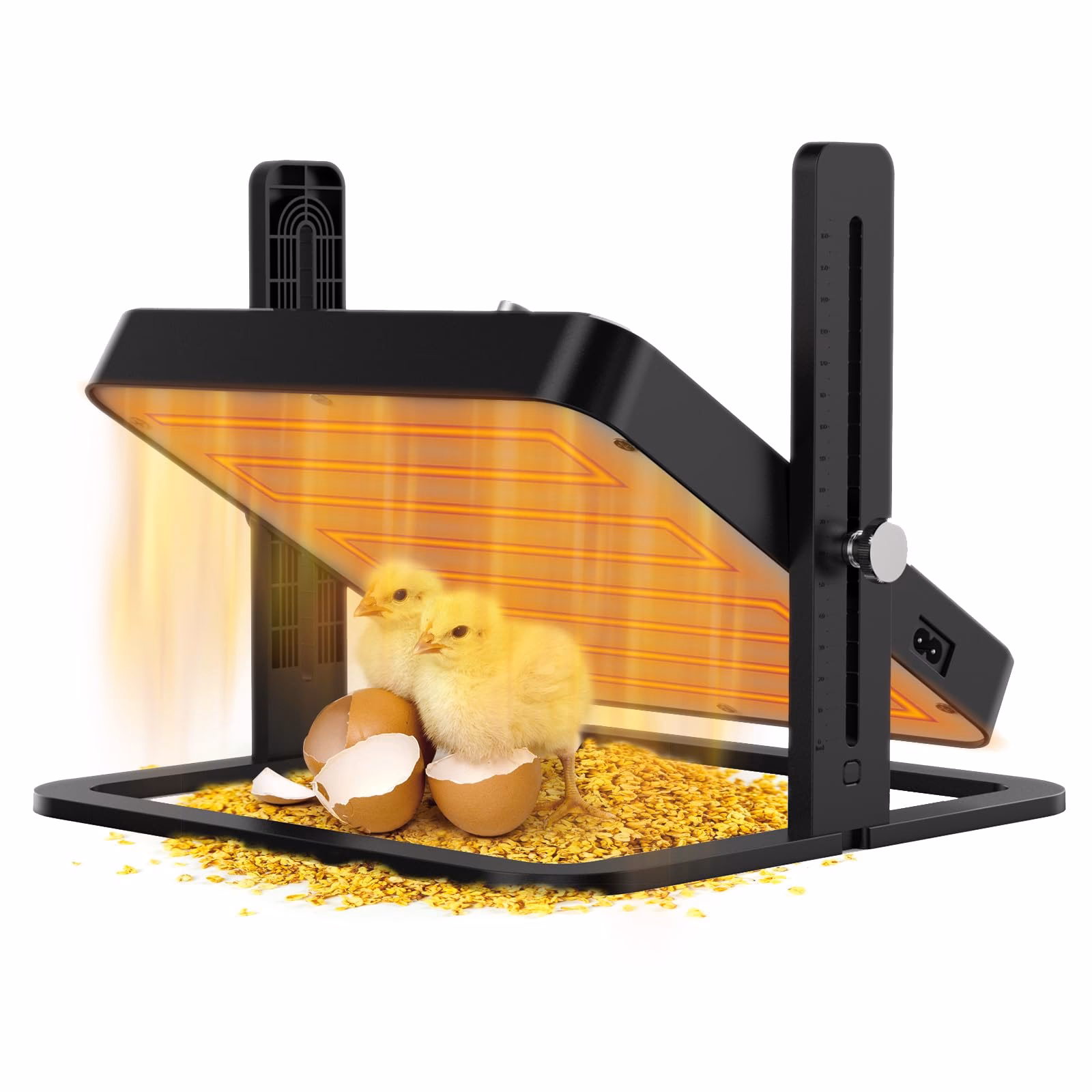 Jak długo należy ogrzewać pisklęta?