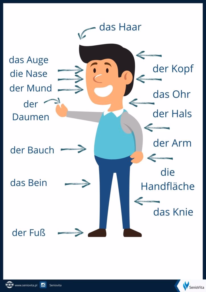 Jak po niemiecku siusiak?
