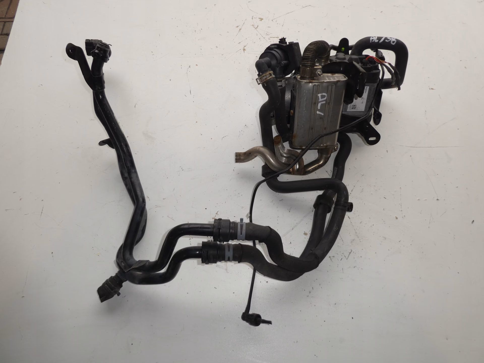 Co oznacza słowo sharan po niemiecku?