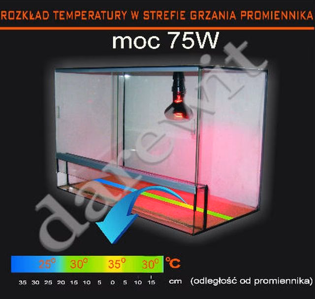 Jaka temperatura powinna być w terrarium dla węża?