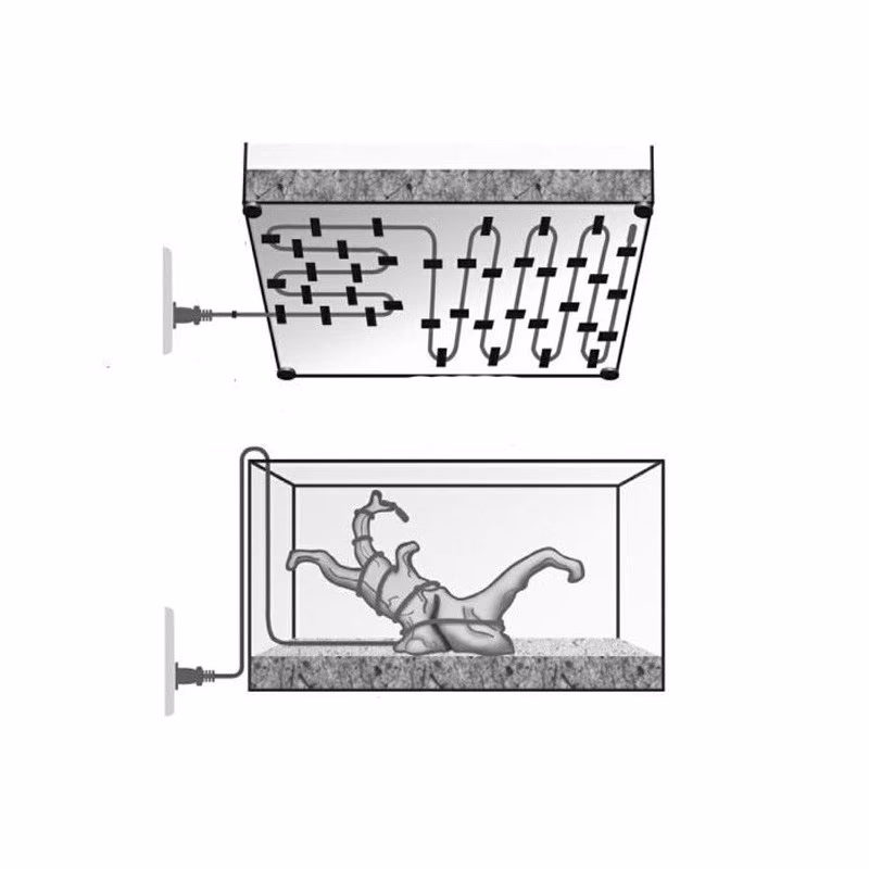 Jak utrzymać stałą temperaturę w terrarium?