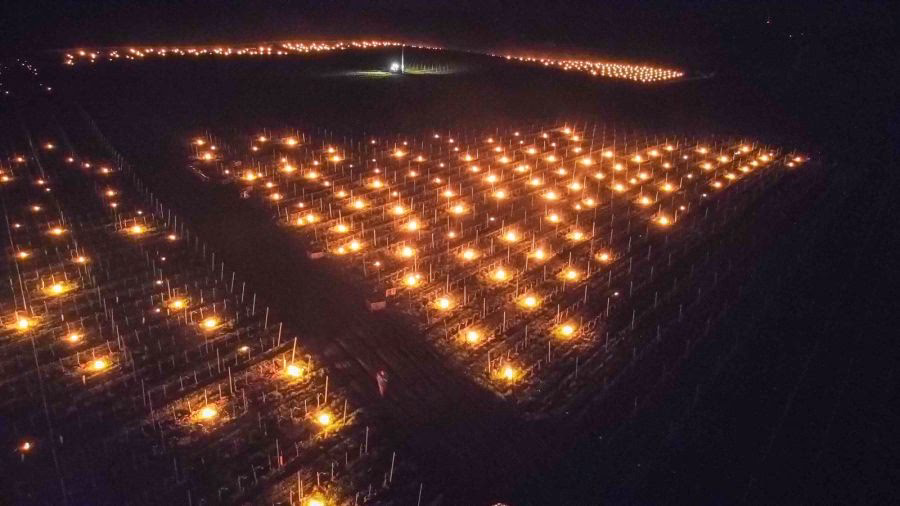 Czy winnica to dobry biznes?