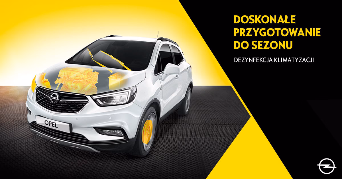 Ile kosztuje roboczogodzina aso Opel?