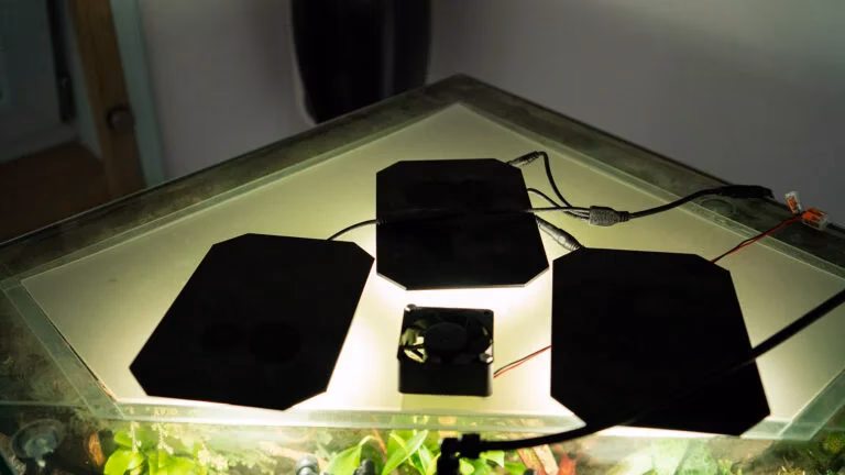 Jaki powinien być poziom wilgotności w paludarium?